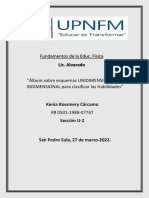 Album Sobre Esquemas UNIDIMENSIONAL Y BIDIMENSIONAL para Clasificar Las Habilidades PDF
