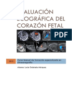 Evaluacion Ecografica Del Corazon Fetal PDF