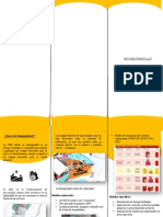 Triptico Biosegueidad