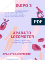 Aparato Locomotor