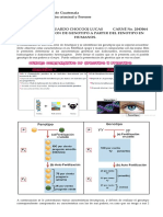 TAREA 3 GENOTIPOS Y FENOTIPOS - Documentos de Google