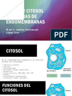 Tema 3.2 Sistemas de Endomembranas