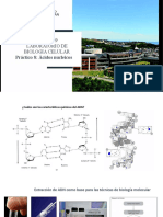 Lab 8 Acidos Nucleicos