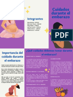 Cuidados Durante El Embarazo PDF