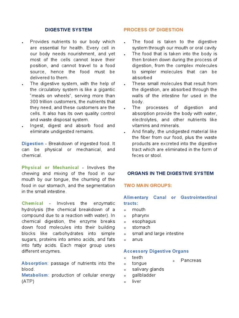 Digestive System | Download Free PDF | Stomach | Small Intestine