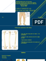 Características Morfológicas Del Fémur