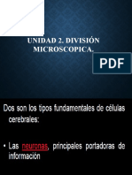 División Microscopica