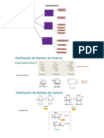 Carbohidratos PDF