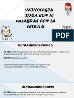 Terminologia Con U PDF