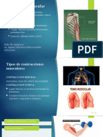 Contracción Muscular-3