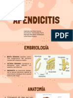 Apéndice cecal: anatomía, fisiopatología y tratamiento