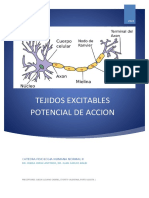 TEJIDOS EXCITABLES Guia de Estudio PDF