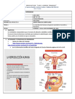 FICHA PEDAGOGICA-P3-S1-10ºAEGB - Ac