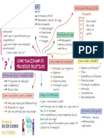Mapa_Aula 2_ Como funcionam os processos seletivos.pdf