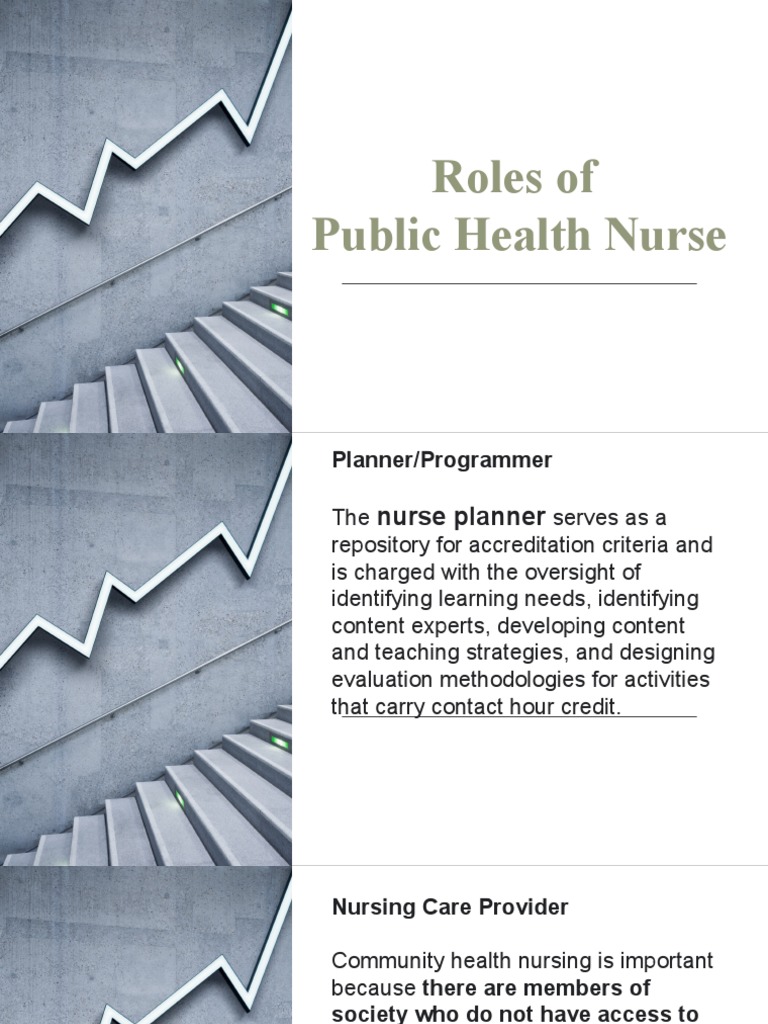 Roles of Public Health Nurses Explained | PDF | Nursing | Public Health