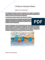 Membrana Plasmatica y su estructura.