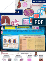 Histologia Ing 2021