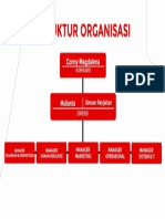 Struktur Organisasi PT. Serena Sejahtera
