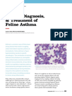 Articulo Asma Felina 1 PDF