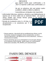 Dengue - Enfermedad y clasificación clínica