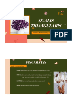 Tanaman Bunga Kupu Kupu PDF