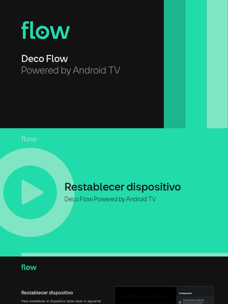 RESTABLECER DISPOSITIVO visual data 2