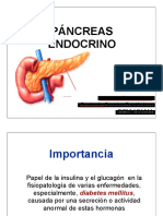 4 - Pancreas Endocrino PDF