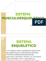 Sistema Musculoesqueletico