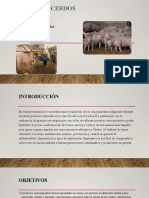 Manual de Cerdos.Diapositivas.Pecuaria II. Grupo 1 y  6.2018.docx (1).pptx