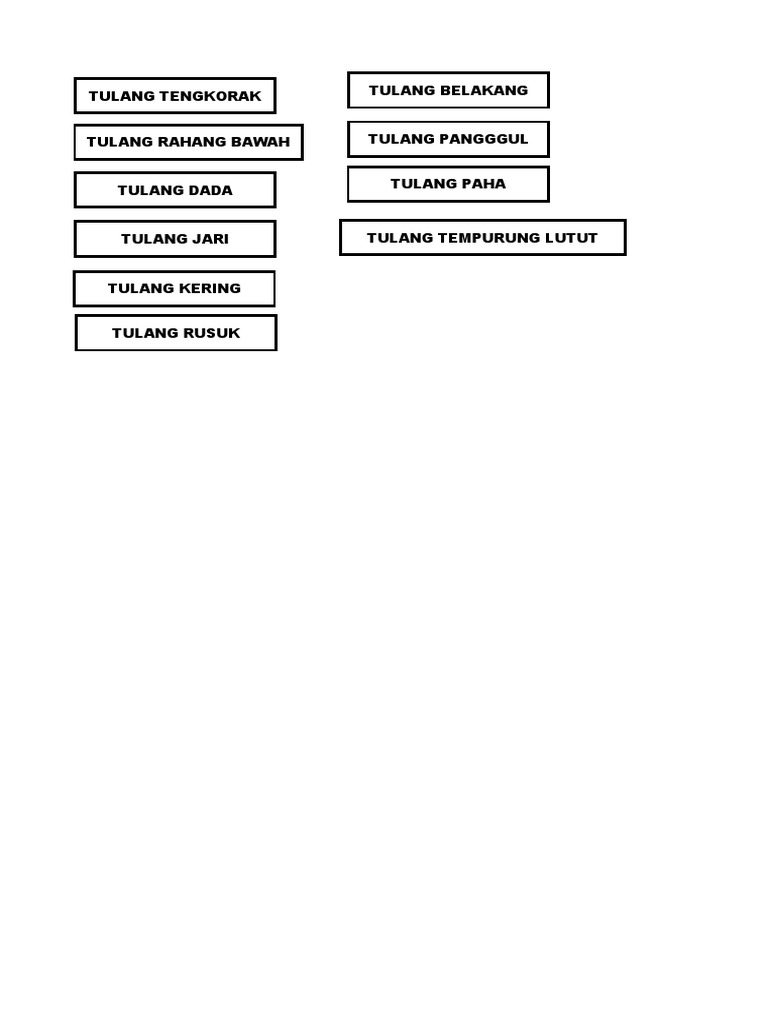 Gambar Kerangka Manusia | PDF