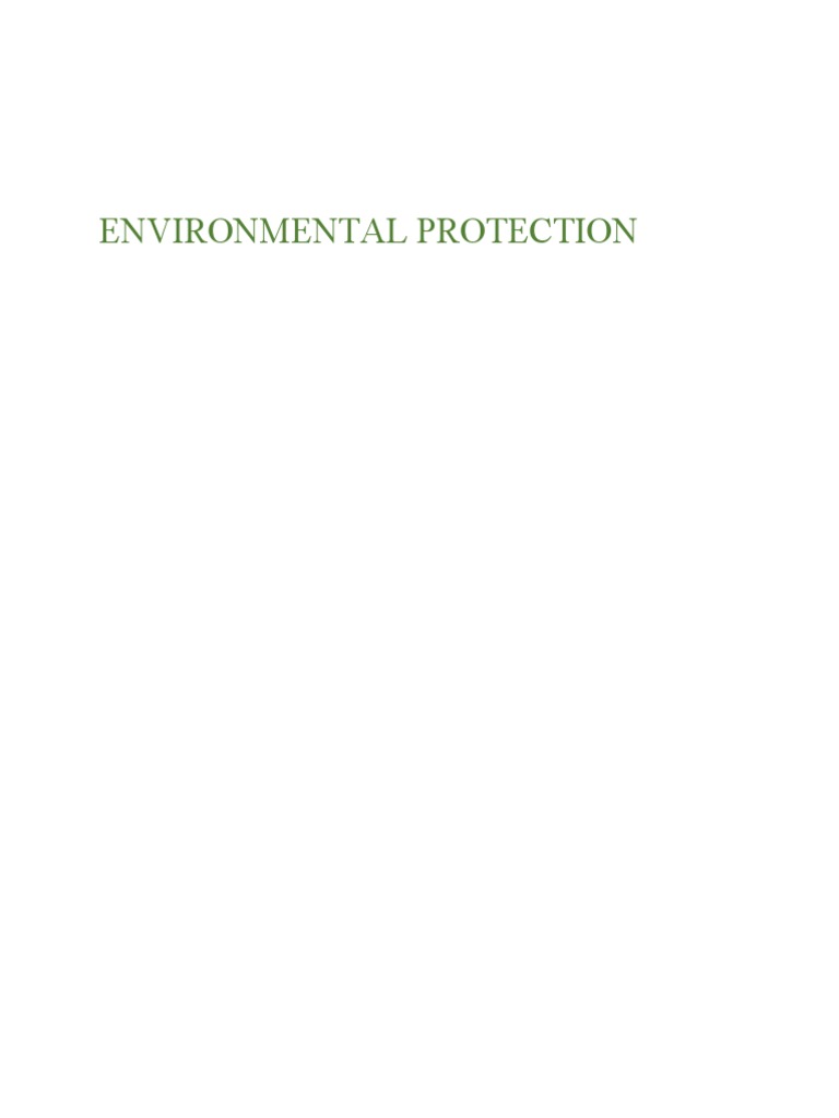 Environmental Protection PDF Human Rights Applied Ethics