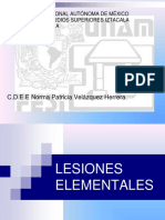 Lesiones Elementales