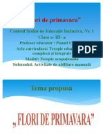 cl.3 Terapie Ocupac89bionalc483 Flori de Primavara PDF