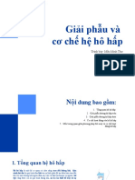 Giải phẫu & cơ chế hô hấp - Mầu Minh Thư