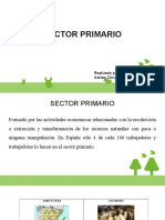 Presentacion SECTOR PRIMARIO