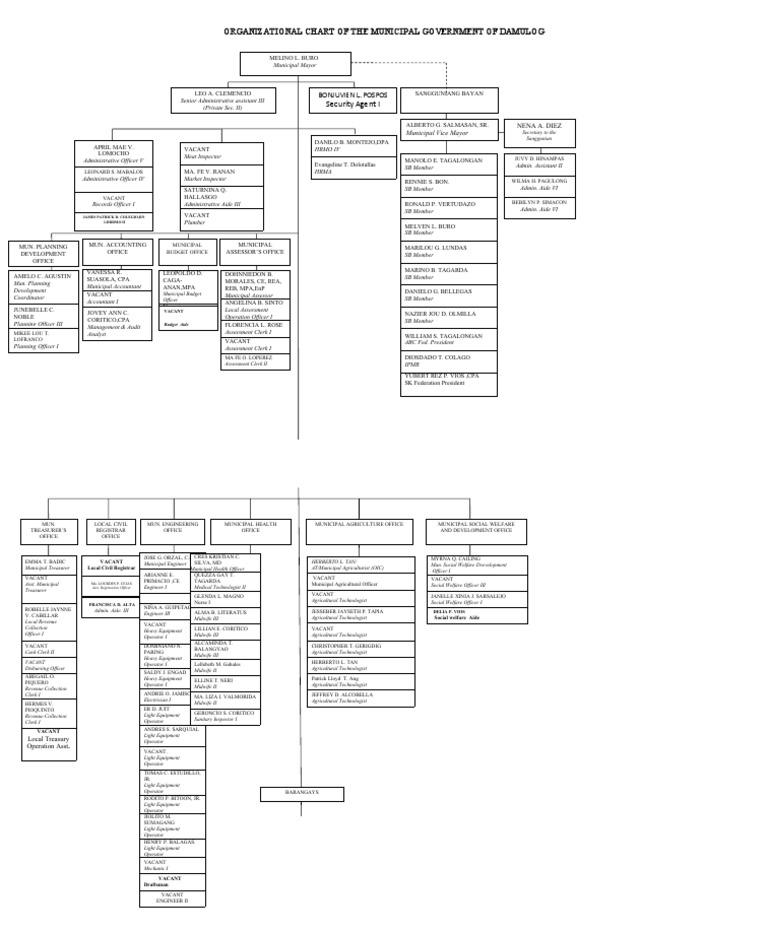 Damulog Municipal Government Chart | PDF