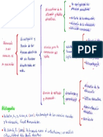 Pedagogia Organizador Grafico - Tarea 1