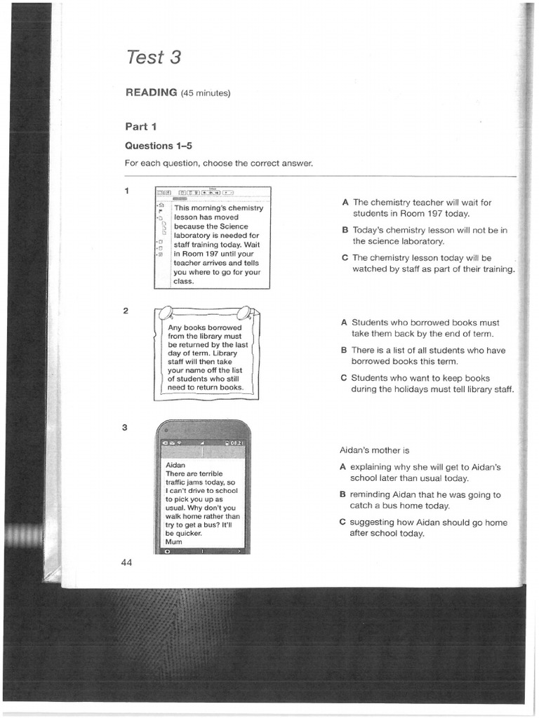 Pet Test 3 | PDF