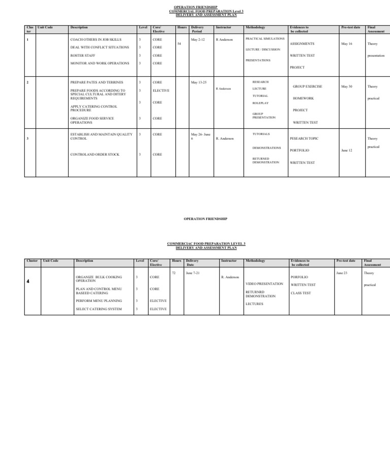 level-3-training-plan-pdf-cognition