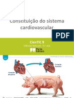 G1. Constituição do sistema cardiovascular.pptx