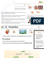 The Senses: Sensory Receptors and Pathways