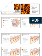 Sesión 2. Parte 1. Psicobiología y Genética Humana. Psicología