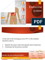 Endocrine System