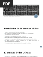 Célula