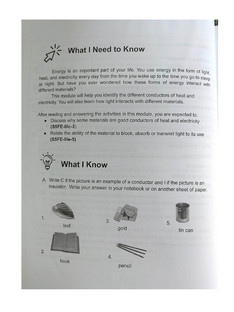 Science 5 Activity Sheet | PDF