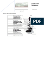 Activity 2 Cells