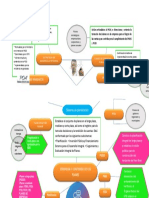 Mapa Conceptual Politicas Publicas