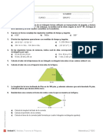 Ejercicios de Aplicación Del Teorema Pitágoras