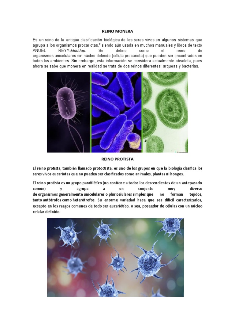 Reino Monera | PDF | Ciencias sociales | Ciencia y matemáticas