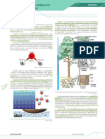 Água, Sais Minerais e Vitaminas PDF